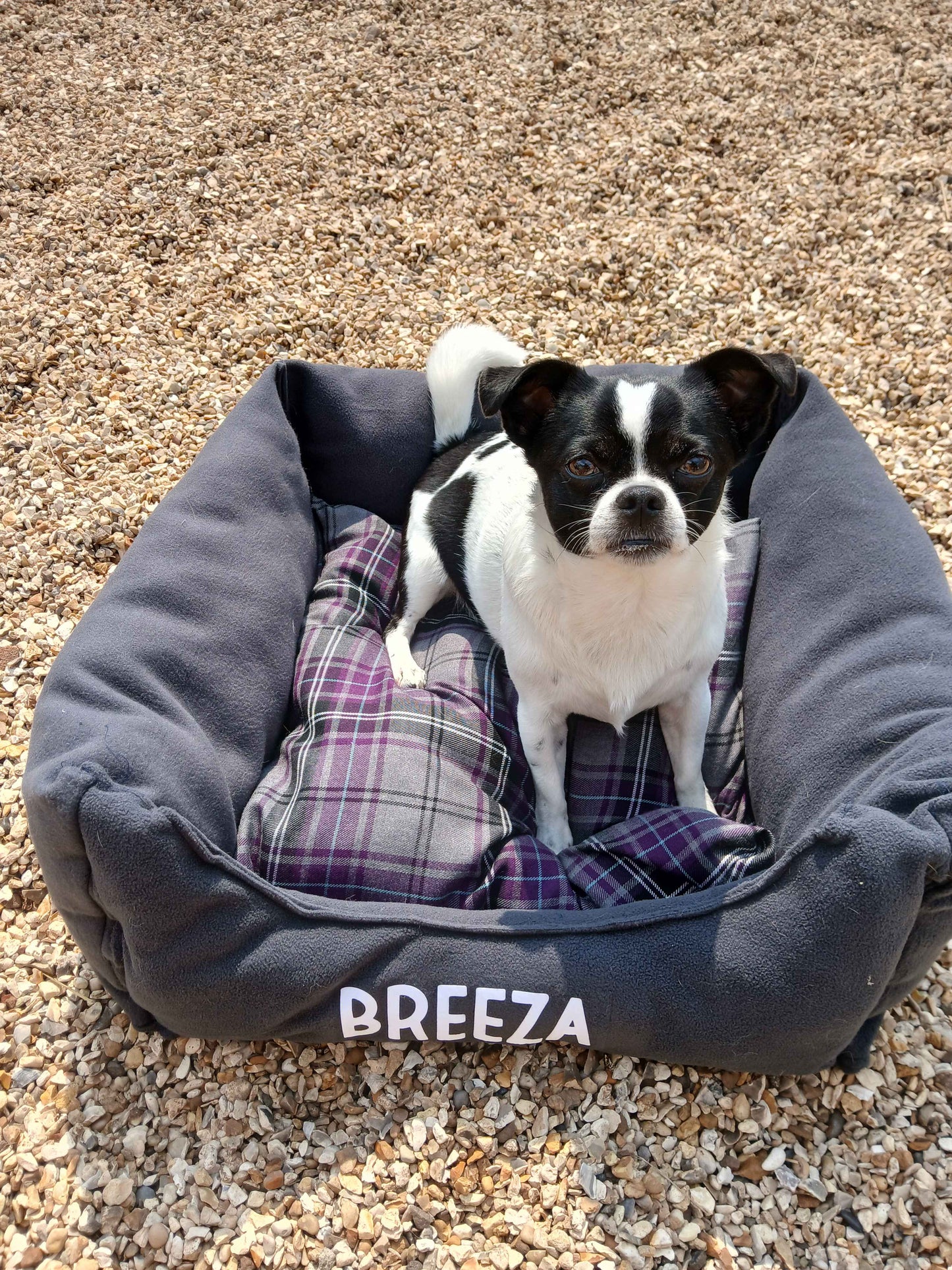 Personalised Dog Bed Small to XL