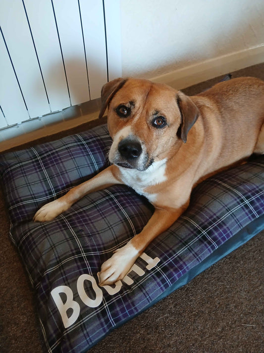 Personalised Dog Pillow Bed Small - Large