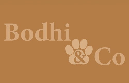 Bodhi & Co